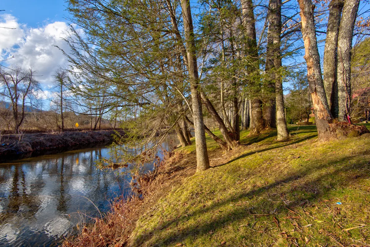 A serene riverside scene with a calm river bordered by tall trees and lush green grass. The area is ideal for picnicking, fishing, and nature walks, and exudes a tranquil, inviting atmosphere.
