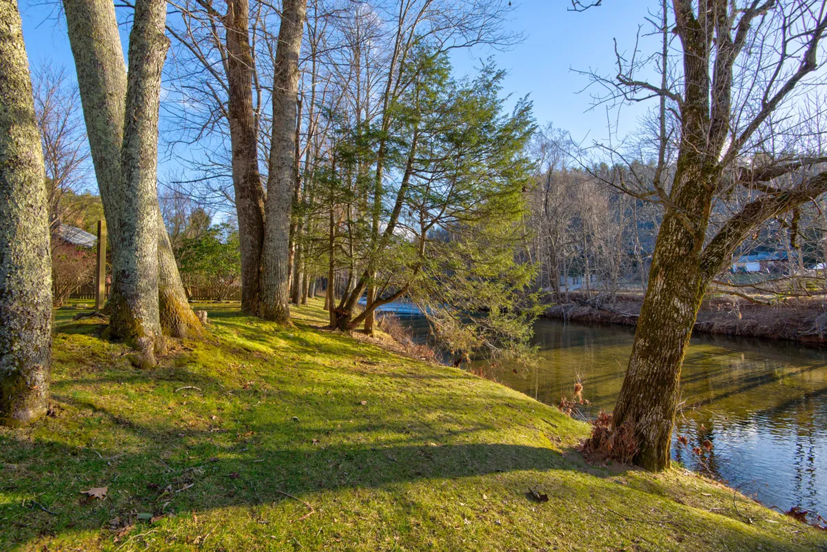 A scenic view of tall trees lining a calm river with lush grassy banks, perfect for picnics, walks, and enjoying nature with pets. The landscape emphasizes freedom and space for exploration.